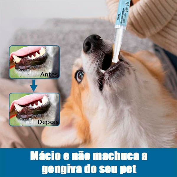 Dental Pet
