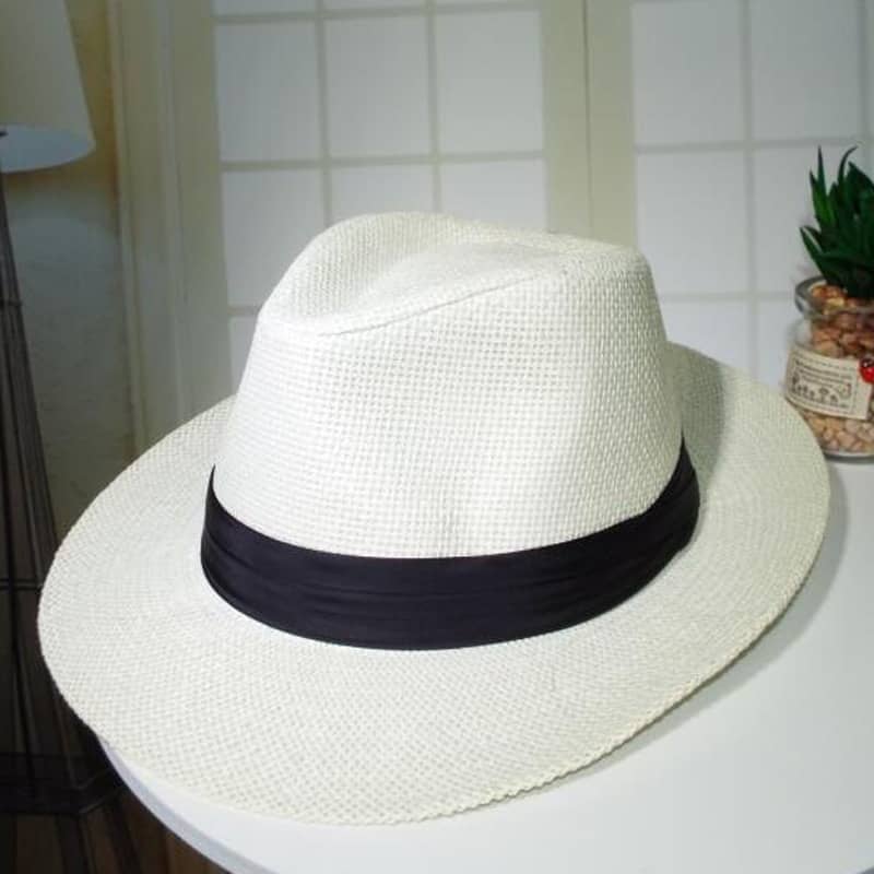 Chapéu tipo Panamá